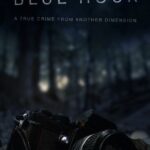 Сумерки: Исчезновение Ника Брандрета Постер
